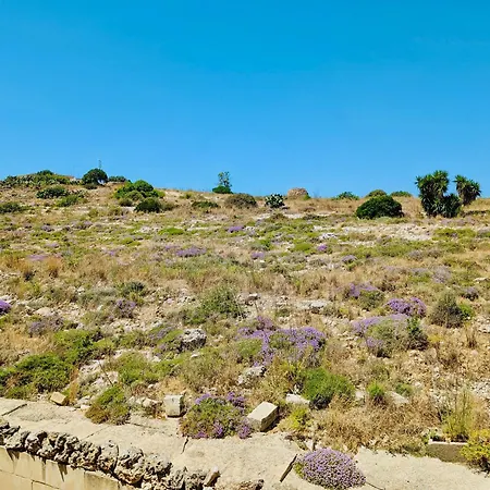 Sunset Haven - Walking Distance To Golden Bay Appartamento